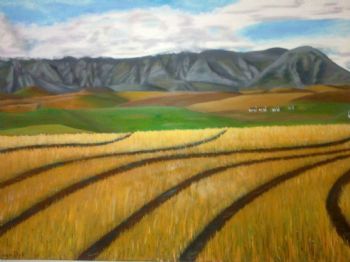 "Cornfields"