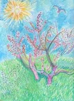 "Blossom Tree in Sunshine"
