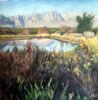 "A Pond With Mountains ."