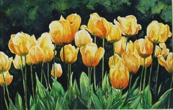 "Tulips"