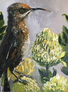 "Sunbird 5"