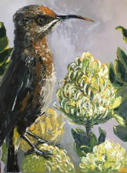 "Sunbird 5"