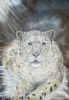 "Snow Leopard Original Art"