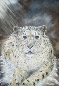 "Snow Leopard Original Art"