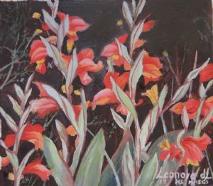"Miniature - Gladioli Equitans"