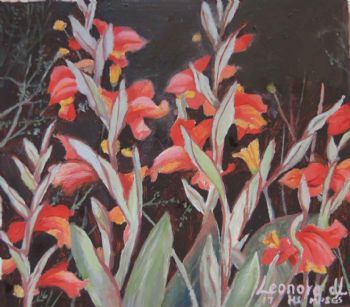 "Miniature - Gladioli Equitans"