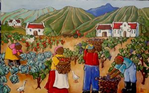 "Cape Vineyard 2"