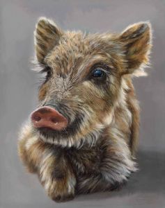 "Biegertje - Wild baby boar"