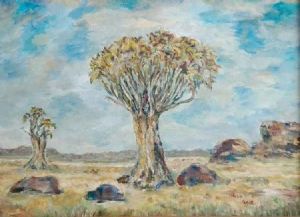 "Quiver Tree at Pofadder"