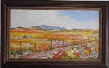 "Namakwaland - Flowers "