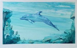 "Dolphin Watercolour"