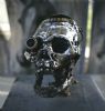 "Steam Punk Skull"