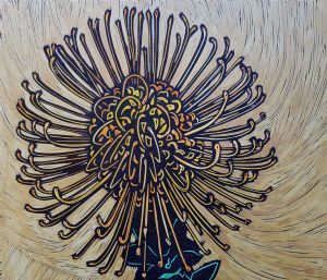 "Pincushion for Table Mountain"