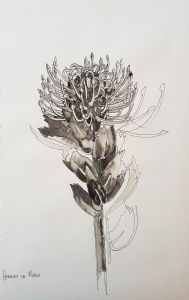 "Fynbos Ink Wash, 'Sufficient', Pincushion"