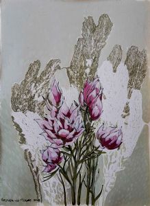 "Protea monotype, 'Blessed'"