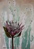 "Protea monotype, 'Grace'"