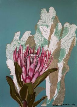 "Protea monotype, 'Simplicity'"