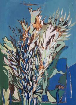 "Leocadendron 'Flow'"