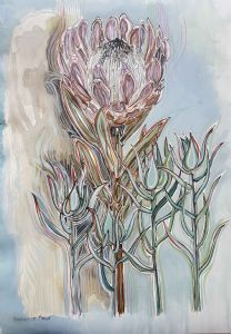 "Protea Sylvia (with Sea-Blue)"