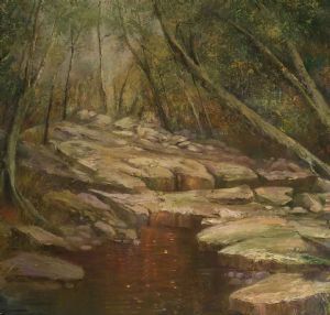 "Rock Pool At Magaliesberg"