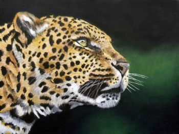 "Leopard Portrait"