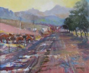 "Sani Pass Road"
