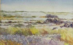 "Cape Grassland Landscape"