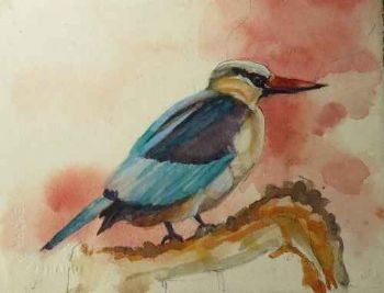 "Brown Hooded Kingfisher"