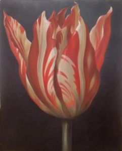"Tulip 2"