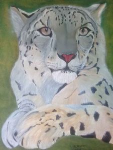 " The Snow Leopard"