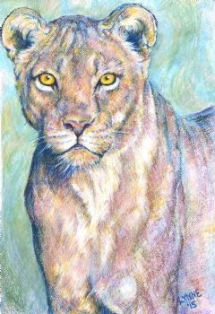 "Pastel Lioness"