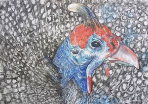 "Guinea Fowl Portrait"