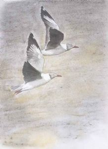 "Pastel Gulls"