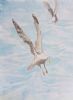 "Seagull Pair"