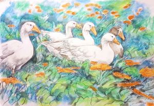 "Calendula Geese"