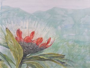 "Protea"