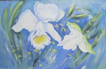 "White Orchid"