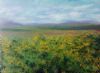 "Canola Field"