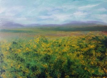 "Canola Field"