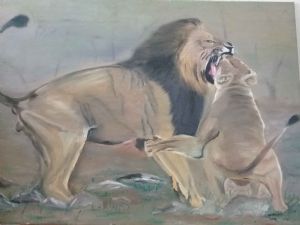 "The Lion And Lioness  Fight"