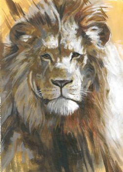 "Africa's Fearless Heart"