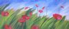 "Poppy Field"