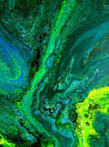 "Treasures of the Rainforest"