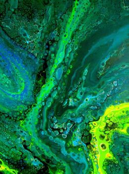 "Treasures of the Rainforest"