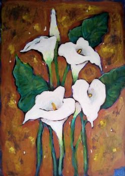 "Arum Lillies"