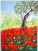 "A Carpet of Poppies"