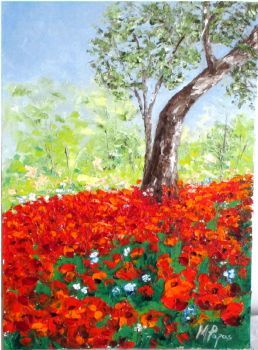 "A Carpet of Poppies"