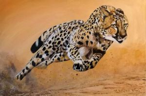 "Cheetah Hunting"