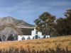 "Groot Constantia with Autumn Vines"