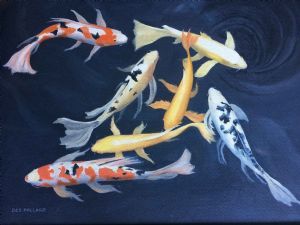 "Koi "